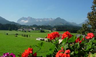 Ausblick Appartement "Kaiserblick-Sommer"