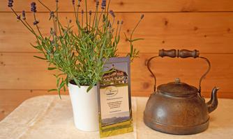 Ferienwohnungen Mai 2025 Foto Birgit Schwaighofer-