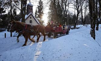Kaiserwinkl, Kutschenfahren