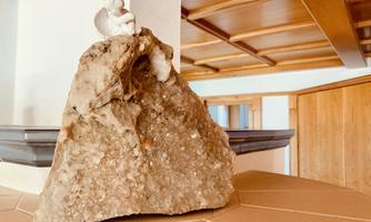 20191017_093301450_iOS