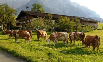 Der Sattlerhof mit dem Zahmen Kaiser