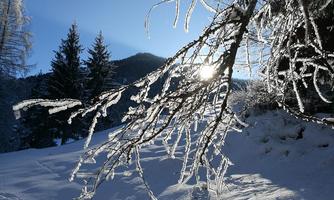 Winterwunderland in Walchsee