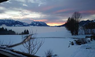 Kaiserwinkl_Biohof Lanz_Kössen_Vikoler (7)