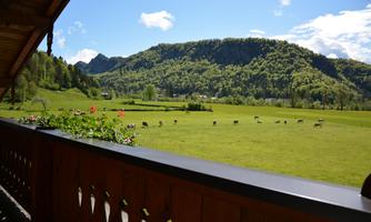 Balkon bei Küche App. 4