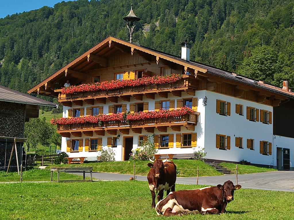 Hacklhof - Familie Reitstätter Apartment" Ferienwohnung  Tirol