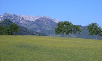Bauernhof Oberhochstätt Aussicht