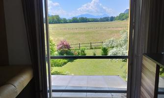 An open window with a view of a green meadow and scattered trees. The sky is blue with a few clouds.