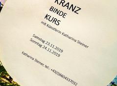 Bild Bild