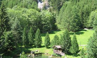 An idyllic pond surrounded by green trees and beautiful scenery. In the background, a waterfall flows, complementing the natural beauty of the surroundings.