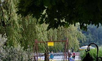 A beautiful garden with a swing and lots of green foliage. In the background, there are people active by the water.