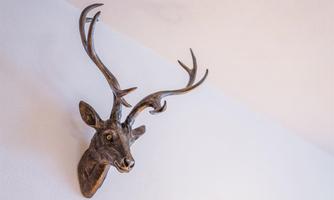 A decorative antler head on the wall. The depiction shows the eyes and antlers of a deer.