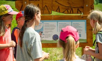 A group of children is standing in front of an information board outdoors. The board contains explanations about nature, while the children are reading with interest.