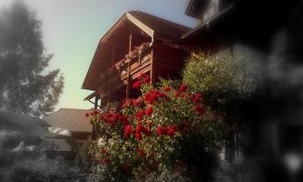 A charming wooden house with red roses that bloom lavishly. Above it stretches a clear sky.