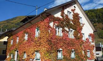 A traditional house surrounded by colorful vine leaves. The facade displays vibrant colors in the autumn light.