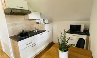 A modern kitchen with bright furniture and high-quality appliances. A plant is on the table, and a microwave is visible.