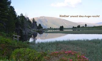 A tranquil landscape with a lake and gentle hills in the background. In the foreground, green plants and some flowers are visible.