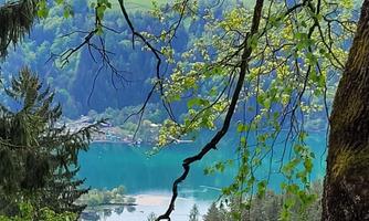 A picturesque view of a clear lake surrounded by forest and mountains. The fresh green leaves give the scene an idyllic atmosphere.