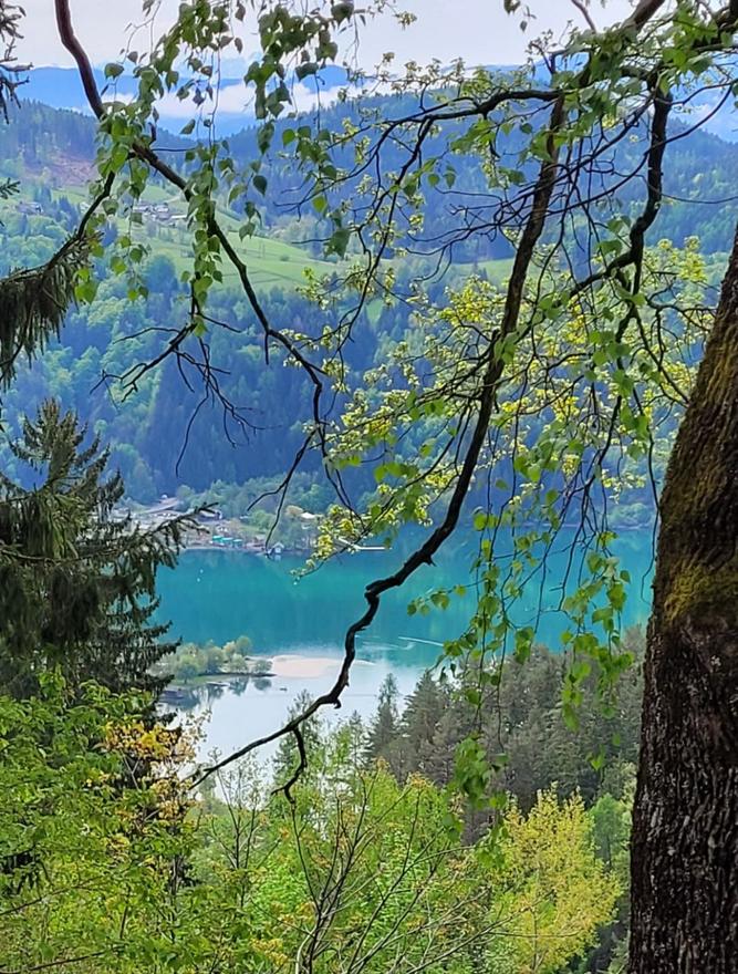 "Seeblick und mehr"