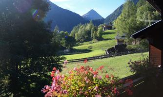 A picturesque mountain landscape with green meadows and tall trees. In the foreground, colorful flowers bloom on a balcony.