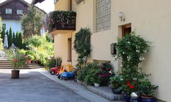 An inviting courtyard with blooming plants and pots. In the background are colorful toy cars and a peaceful atmosphere.