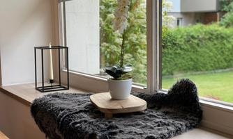 A windowsill with a white orchid in a pot and a decorative wooden plate. Next to the plant, there is a lantern and a soft, gray fur.