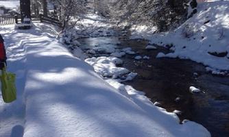 A picturesque winter path surrounded by snow-covered trees. A tranquil brook flows nearby through the snowy landscape.