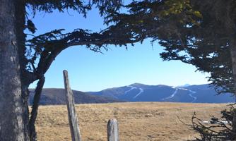 A tranquil mountain landscape with snow-capped peaks in the background. In the foreground, there are some trees and an unobstructed view of the blue sky.