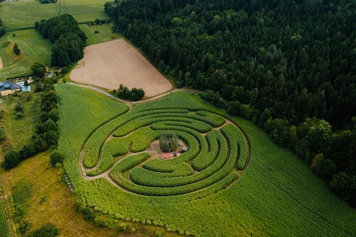 Labyrinth im Elefantengras