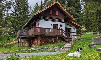A cozy wooden house amidst green forests. In the foreground lies a dog in a meadow full of flowers.