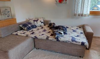 A cozy living room with a pull-out couch and a knitted blanket. In the background, there is a window with curtains and decorative pictures on the wall.