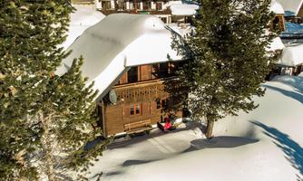 A cozy chalet in the snow, surrounded by tall trees. The scenery is peaceful and wintry.