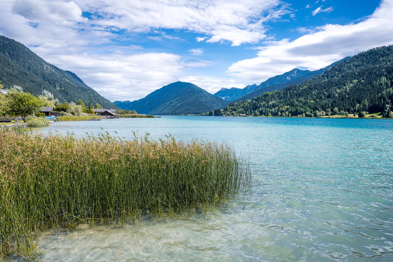 See mit Schilf im Vordergrund und bewaldeten Bergen im Hintergrund in Tirol