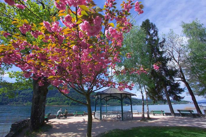 Herrliche Blumenpromenade Pörtschach