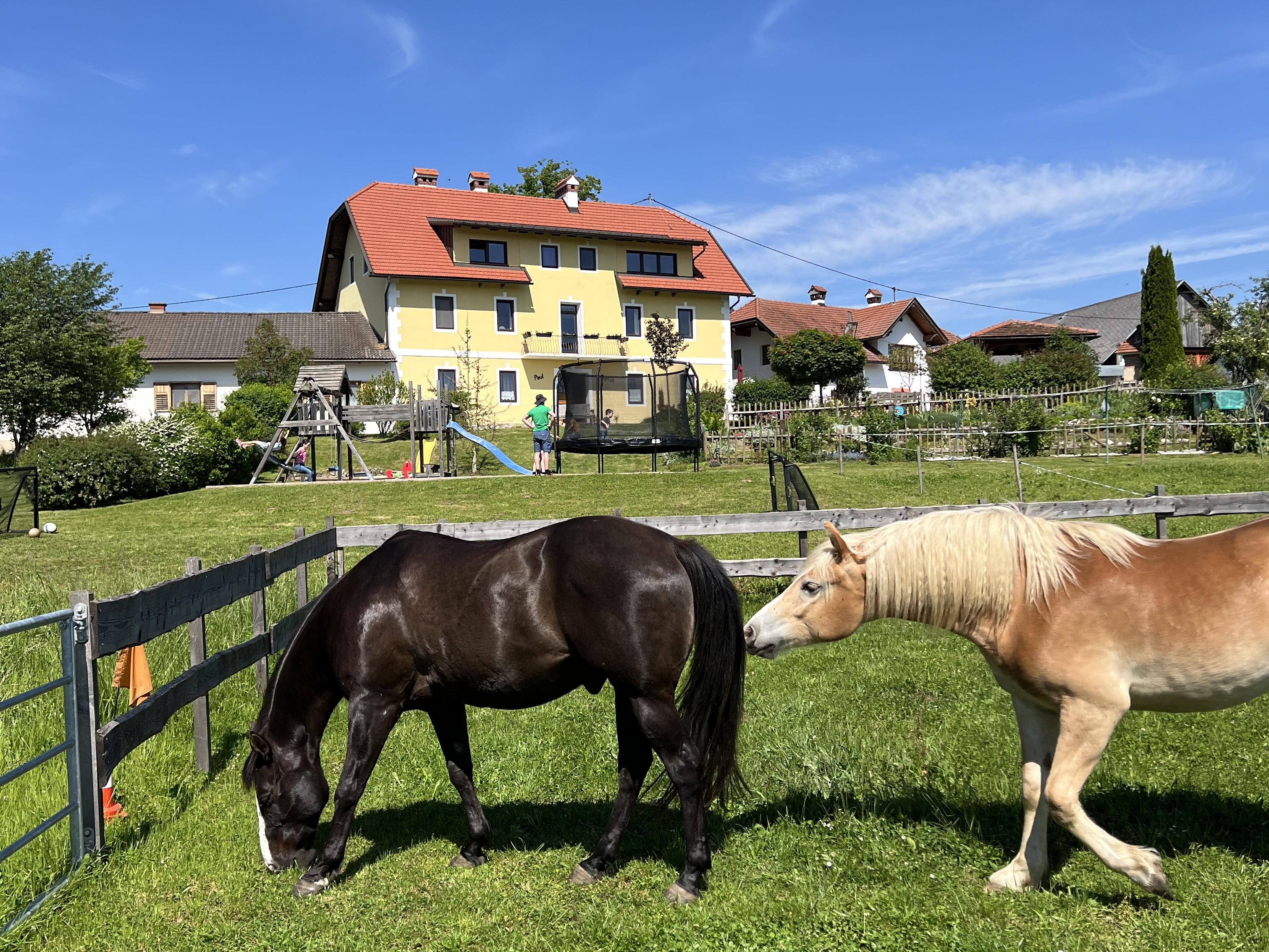Bauernhof Paul - Rutarhof