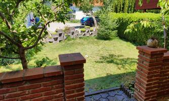 A beautiful garden with green lawn and bushes. In the background, some cars and a well-kept hedge are visible.