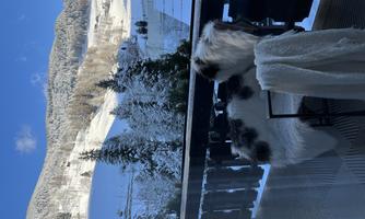 A balcony with a beautiful view of snow-covered mountains and trees. A chair with a blanket and a fluffy pillow is also visible.