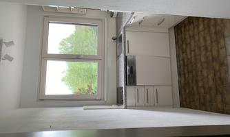 A modern kitchen with white cabinets and a window that offers a view of the green landscape. The space is bright and tidy.
