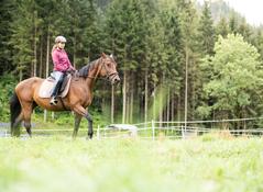 Reiten-Schnuppern Reiten-Schnuppern