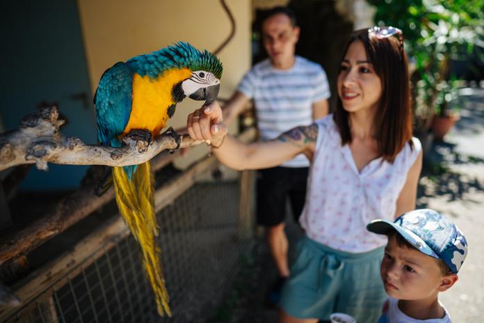 Vogelpark Turnersee