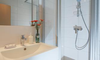 A modern bathroom with a shower and an elegant sink. A blooming plant adds a fresh accent.