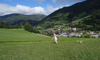 A person with a dog is walking through a green meadow. In the background, mountains and a small village can be seen.