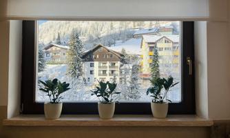 A beautiful window with a view of snow-covered mountains and houses. In the foreground, three plants in pots are standing.