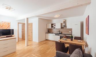 A modern apartment with an open living and kitchen area. Bright colors and plenty of natural light create an inviting atmosphere.
