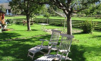 A green meadow with two loungers under a tree. In the background, there is a table and a landscape with fences.