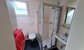 A modern bathroom with a shower, sink, and toilet. Red towels hang on a towel rack.