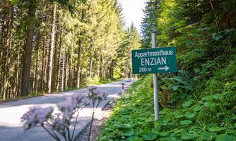 A sign indicates the way to the Enzian apartment building. The path winds through a picturesque forest landscape.