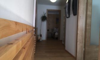 A bright hallway with wooden details and a door frame in the background. Plants and pictures adorn the space.