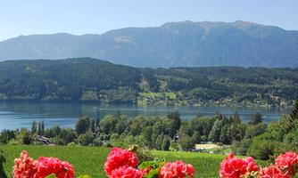 A picturesque landscape with a clear lake and green mountains in the background. In the foreground, red flowers are blooming.