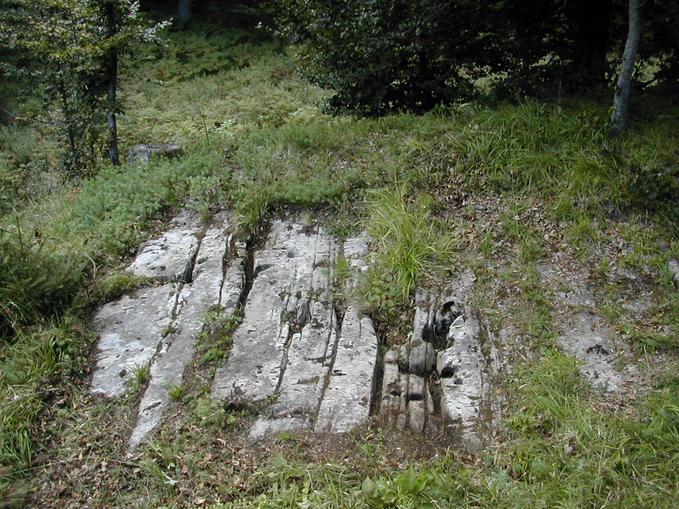 Naturlehrpfad Gösseringgraben