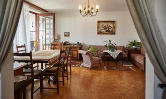 A cozy living space with a dining table and chairs. Light shines in through large windows, and green plants create a pleasant atmosphere.